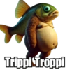 Trippi Troppi