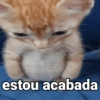 estou acabada