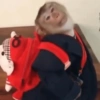 Monos muy monitos 🐒🐵🐒 4