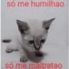 só me humilhao só me maltratao