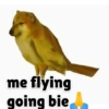 Doggo 9