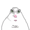 🐹 Hamster Tiktok 4📱 14
