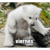 Moods  5