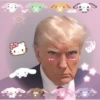 Trump  10