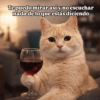 🙈 ANIMALITOS CON TEXTOS 😎 9
