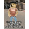 Cheems telugu 5.0 25