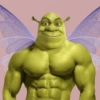 Estilo Sherk💚 16