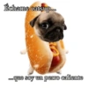Échame catsup... ...que soy un perro caliente