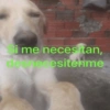 Si me necesitan, deanecesitenme