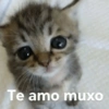 Te amo muxo
