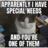 Catscatacats9 21