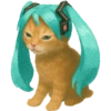 ✨️ Modo Gato 🐈🐱🐈‍⬛ 6