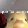 MELHORES MEMES ALEATÓRIOS 13
