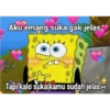 Malu malu kucing 20