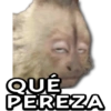 ✌🏽🤣Memes Mood Viral💥 13