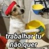 Doguinhos engraçados😂👇 5