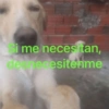 Si me necesitan, desnecesitenme