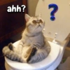 ahh? ?