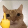 Kucing imut 2 23