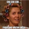 CRI CRI CRI 0 FIQUEI NO VÁCUO MIGA