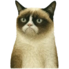 ✨️ Modo Gato 🐈🐱🐈‍⬛ 19