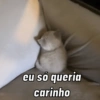 Aqui estão os melhores memes 🔥 8