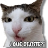 ¿QUÉ DIJISTE?"