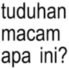 Anomali Kata Lucu 14