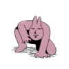 Pink korea rabbit  21