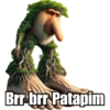 Brr brr Patapim