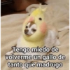 Memes 73 23