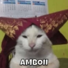 MEME INDO RANDOM 15