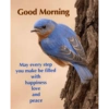 Good morning 43