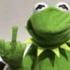 Kermit  9