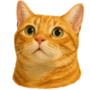 ✨️ Modo Gato 🐈🐱🐈‍⬛ 23