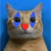 Badut kucing 6