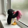 🐧•Pingu•🐧 6