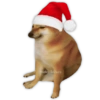 Shiba Inu con Gorra de Santa Sentado