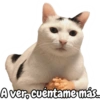 A ver, cuéntame más...