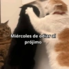 Miércoles de odiar al prójimo @GatosParaNadle