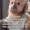 si tienen problemas hablen conmigo, no resuelvo nada pero me gusta mucho el chisme 乳
