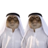 Memes 73 22