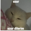 Biyu 20