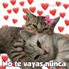 De amor ❤️ 8