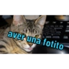aver una fotito