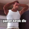 Gta meme 14
