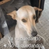 Ya va quedando (No va quedando)