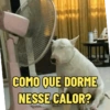 Bom dia, boa tarde e boa noite 5