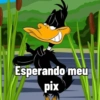 Esperando meu pix