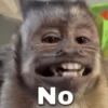 No